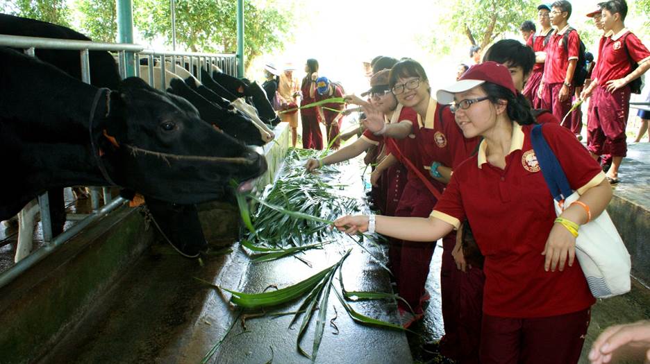  “Một ngày làm nông dân” - trải nghiệm hè thú vị của học sinh AHS