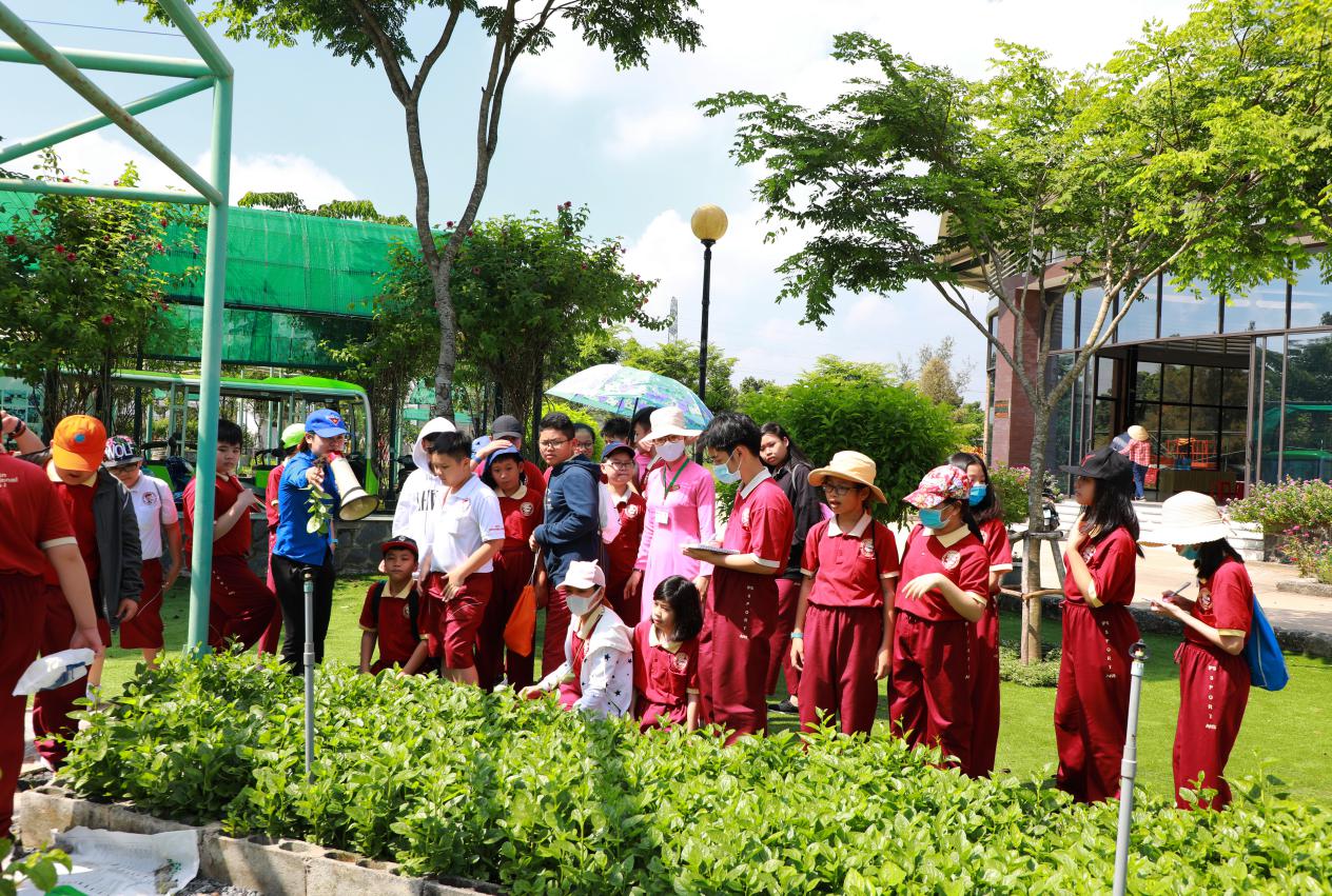 Học sinh Asian School thích thú khám phá Khu nông nghiệp công nghệ cao