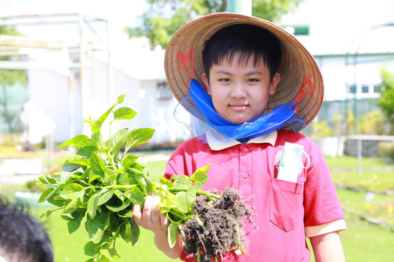 Học sinh Asian School thích thú khám phá Khu nông nghiệp công nghệ cao