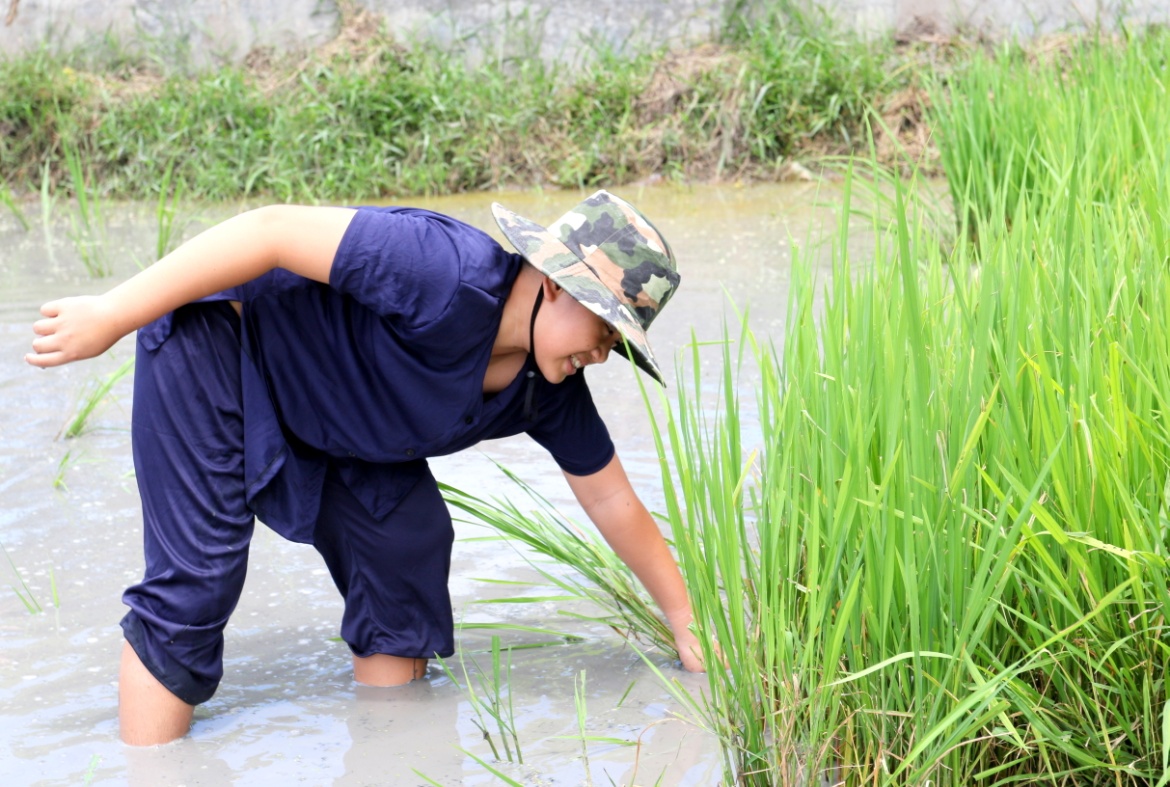 Hóa thân thành nông dân cùng các bạn nhỏ AHS